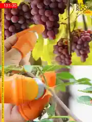 Секатор садовый Садовый нож напальчник силиконовый с защитным кожухом