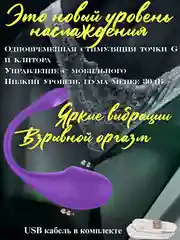 Пурпурный вибратор с дистанционным управлением, виброяйцо