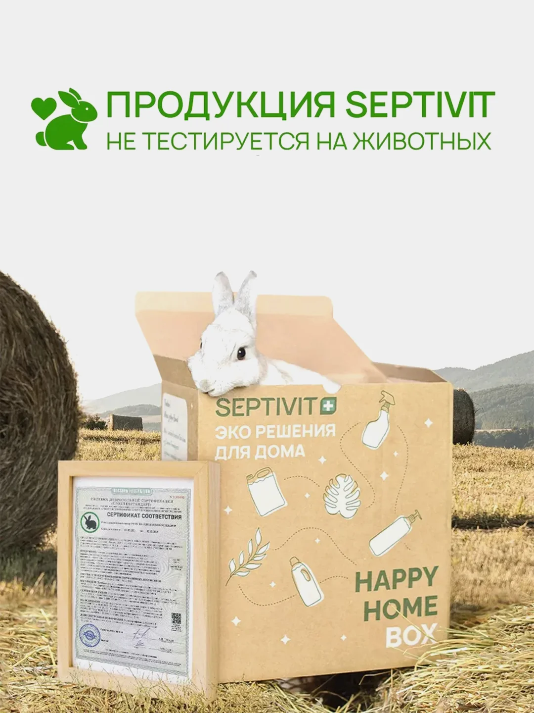 Гель для стирки SEPTIVIT "Цветное Белье: Маракуйя", 5 л