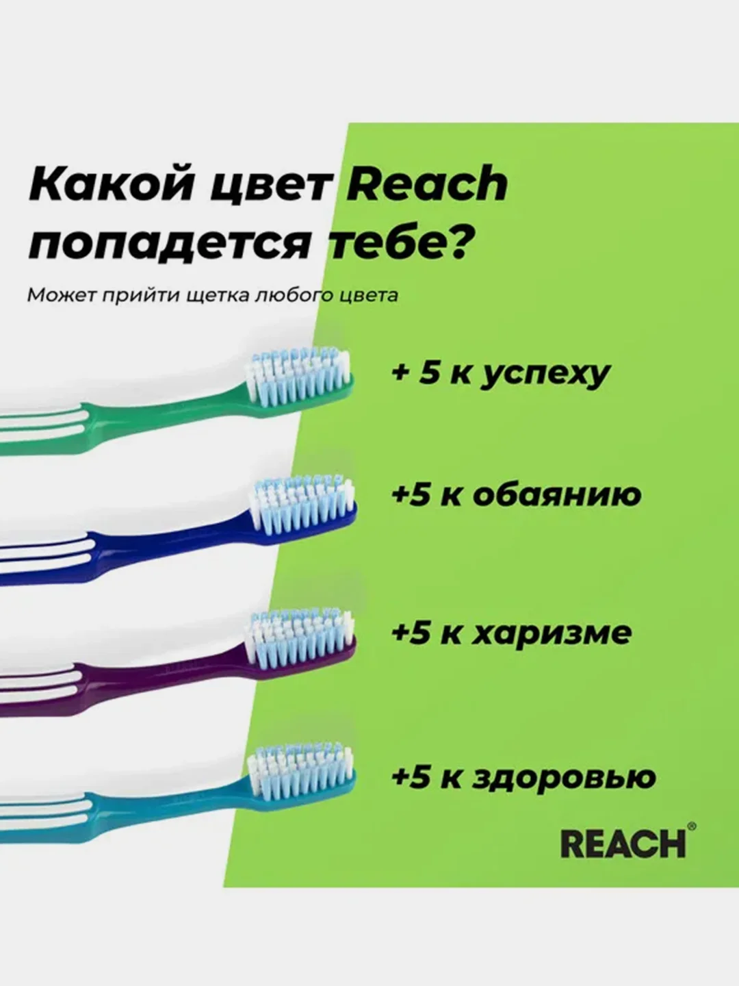 Зубная щетка REACH Control, Бережная чистка, жесткая
