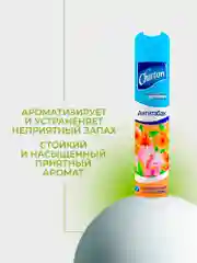 Терракотовый освежитель воздуха Chirton Classic аэрозольный, 300 мл