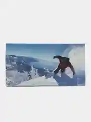 Серый маска, горнолыжные очки, горнолыжные для сноуборда