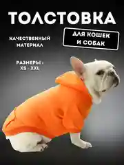 Рыжий толстовка для кошек и собак