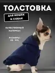 Синий толстовка для кошек и собак