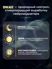 БАД aTech nutrition DMAE Genius Brain, для мозга, памяти, внимания, 90 капсул