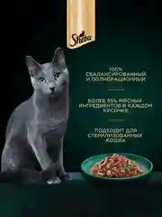 Влажный корм для кошек SHEBA Крафт Коллекция «Рубленые кусочки. Говядина в соусе» 28 x 75г