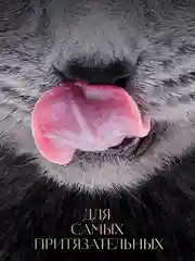 Влажный корм для кошек SHEBA Крафт Коллекция «Рубленые кусочки. Говядина в соусе» 28 x 75г