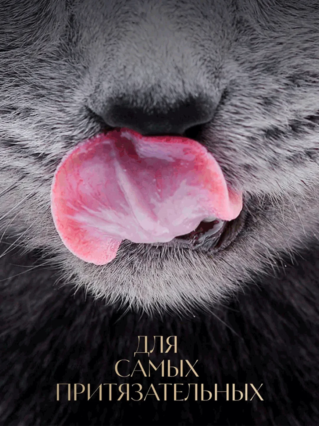 Влажный корм для кошек SHEBA® «Ломтики в соусе. Говядина и Кролик», 28 шт по 75г