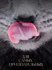 Влажный корм для кошек SHEBA® «Ломтики в соусе. Говядина и Кролик», 28 шт по 75г