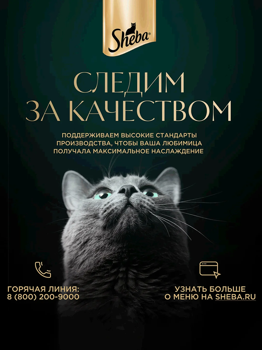 Влажный корм для кошек SHEBA® «Ломтики в соусе. Говядина и Кролик», 28 шт по 75г