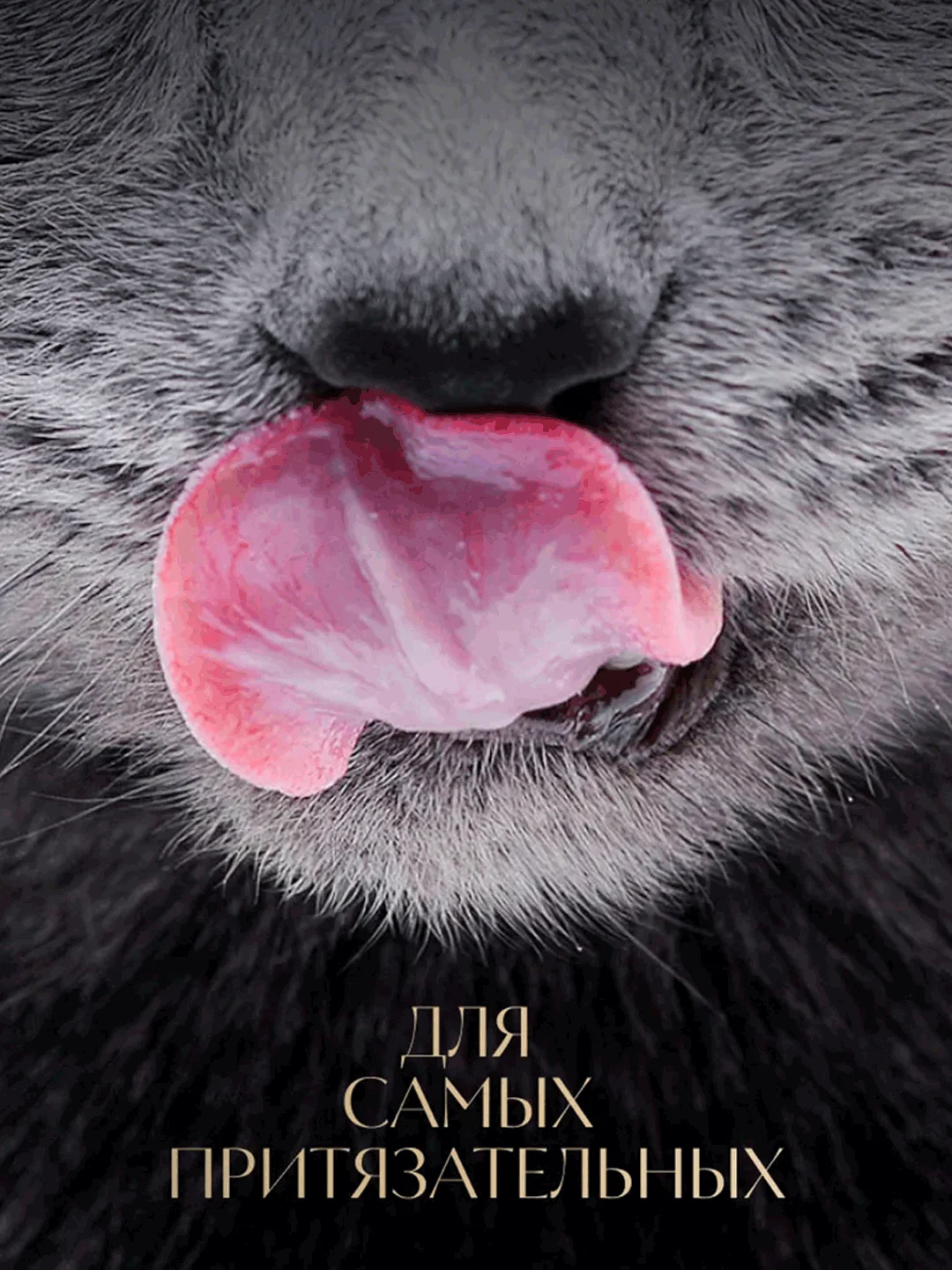 Влажный корм для кошек SHEBA® «Ломтики в соусе. Форель и Креветки», 28 шт по 75г