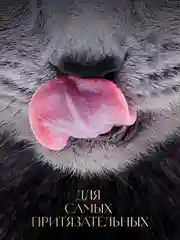 Влажный корм для кошек SHEBA® «Ломтики в соусе. Форель и Креветки», 28 шт по 75г