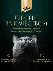 Влажный корм для кошек SHEBA® «Ломтики в соусе. Форель и Креветки», 28 шт по 75г