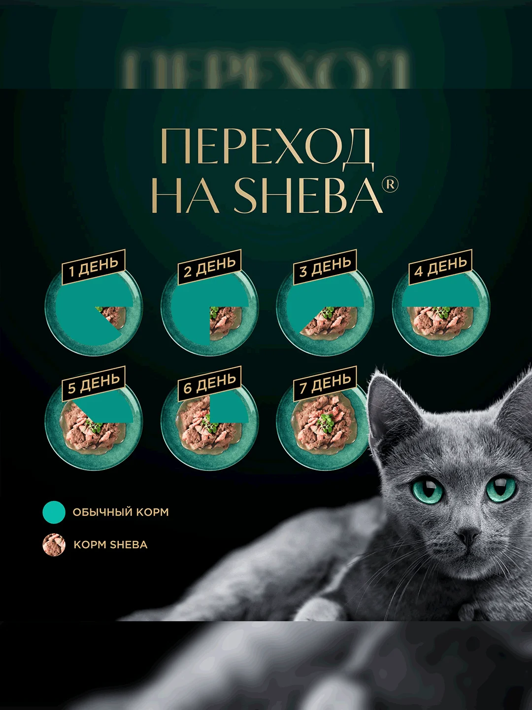 Влажный корм для кошек SHEBA® с кроликом. «Ломтики в желе. Кролик», 28 шт по 75г