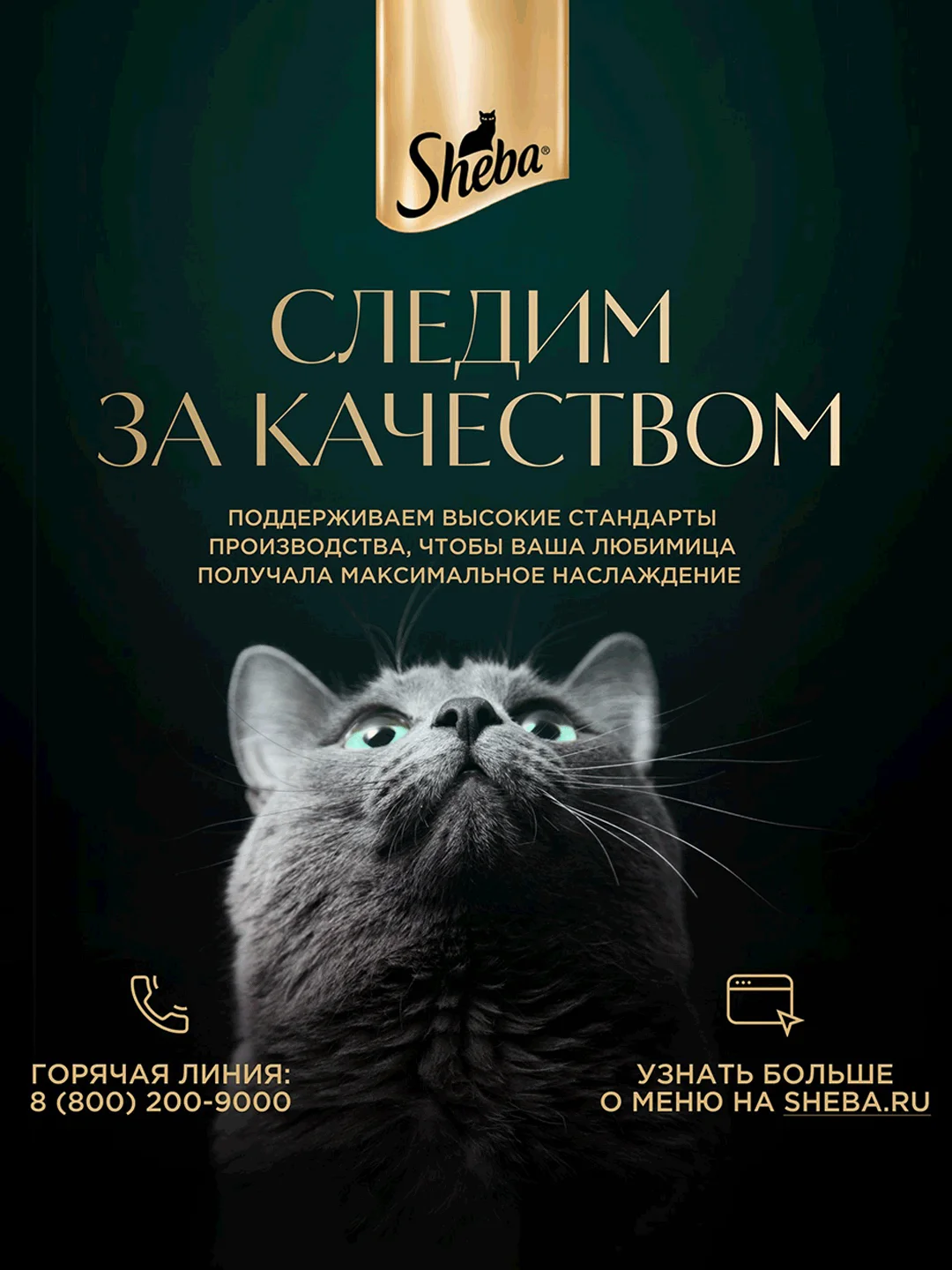 Влажный корм для кошек SHEBA® с кроликом. «Ломтики в желе. Кролик», 28 шт по 75г