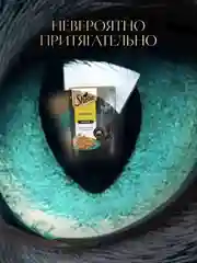 Влажный корм для кошек SHEBA® с курицей. «Ломтики в желе. Курица», 28 шт по 75г
