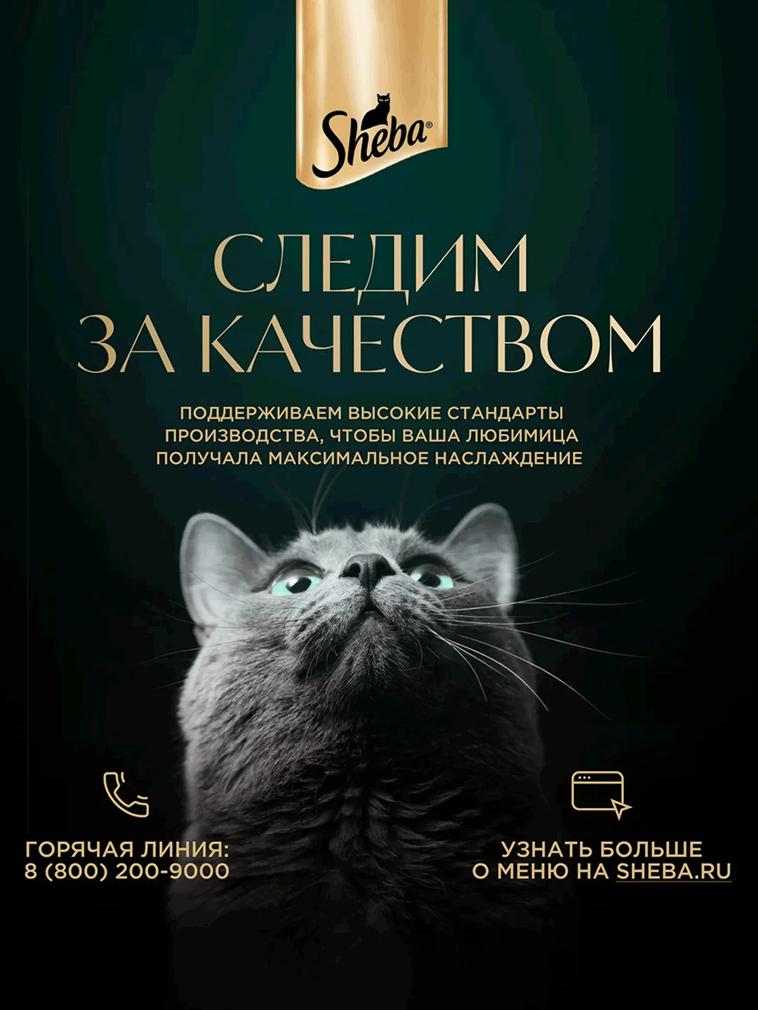 Влажный корм для кошек SHEBA® с курицей. «Ломтики в желе. Курица», 28 шт по 75г