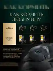 Влажный корм для кошек SHEBA® с курицей. «Ломтики в соусе. Курица», 28 шт по 75г