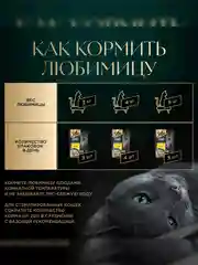 Влажный корм для кошек SHEBA® Крафт Коллекция «Сочные слайсы. Курица в соусе» 28шт по 75г