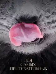 Влажный корм для кошек SHEBA® Крафт Коллекция «Сочные слайсы. Курица в соусе» 28шт по 75г