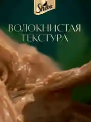 Влажный корм для кошек SHEBA® Крафт Коллекция «Сочные слайсы. Курица в соусе» 28шт по 75г