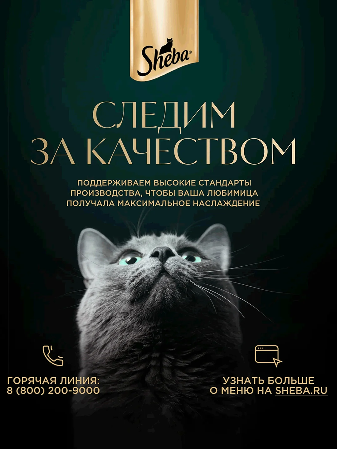 Влажный корм для кошек SHEBA® Крафт Коллекция «Сочные слайсы. Курица в соусе» 28шт по 75г