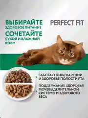 Сухой полнорационный корм PERFECT FIT™ для стерилизованных кошек, с говядиной, 10кг