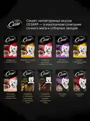 Влажный корм Cesar® для взрослых собак, с ягненком и овощами в соусе, 28 шт по 85г