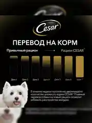 Влажный корм Cesar® для взрослых собак, с ягненком и овощами в соусе, 28 шт по 85г