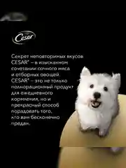 Влажный корм Cesar® для взрослых собак, с ягненком и овощами в соусе, 28 шт по 85г