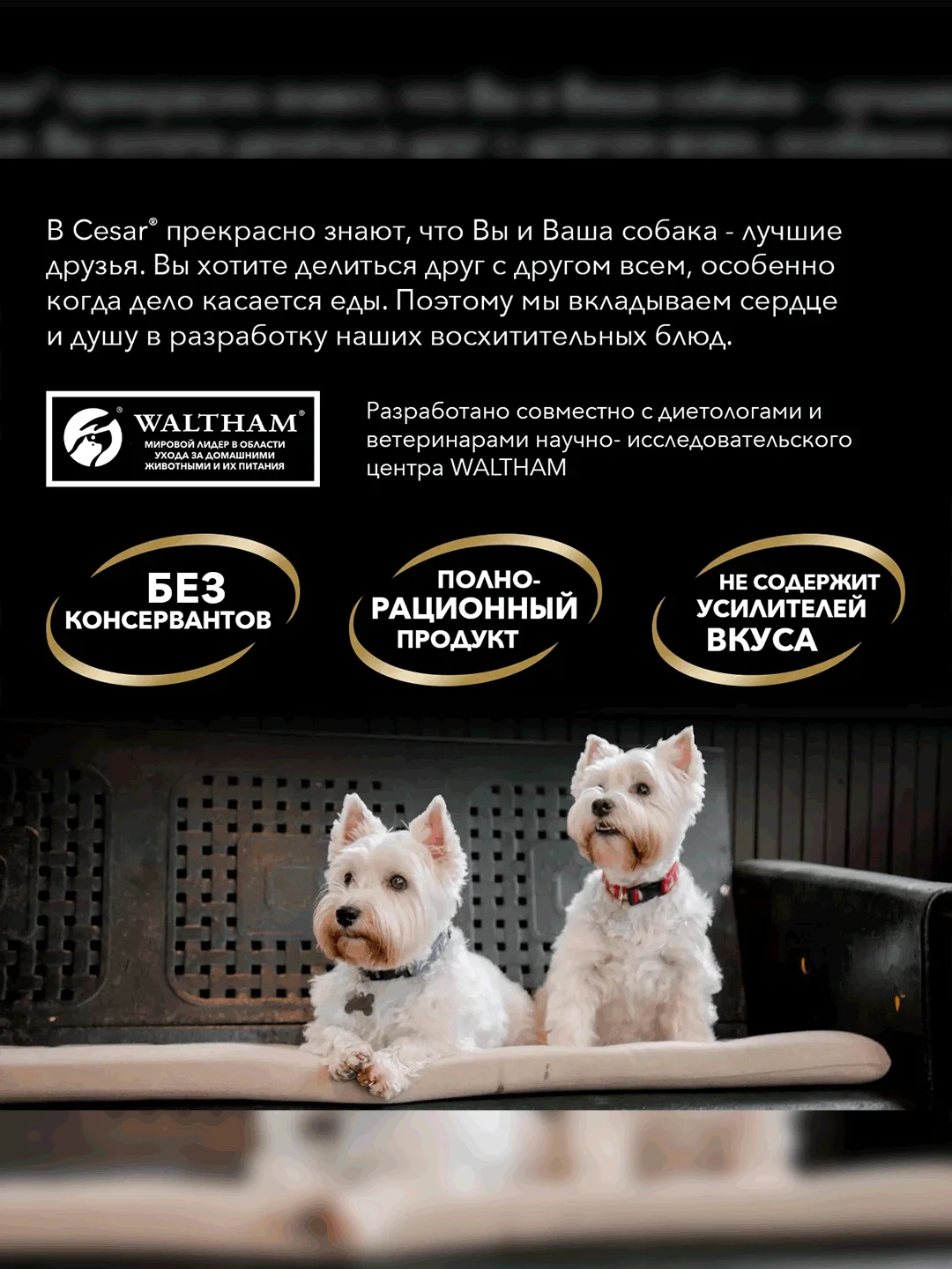 Влажный корм Cesar® для взрослых собак, с ягненком и овощами в соусе, 28 шт по 85г