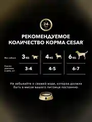 Влажный корм Cesar® для собак, с говядиной, кроликом и шпинатом в соусе, 28 шт по 85г