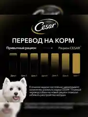 Влажный корм Cesar® для собак, с говядиной, кроликом и шпинатом в соусе, 28 шт по 85г