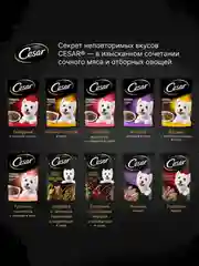 Влажный корм Cesar® для собак, с говядиной, кроликом и шпинатом в соусе, 28 шт по 85г