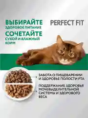 Сухой полнорационный корм PERFECT FIT™ для стерилизованных кошек, с курицей, 2.5кг