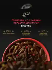 Влажный корм Cesar Natural Goodness для собак, говядина, паприка и шпинат в соусе, 28х80г