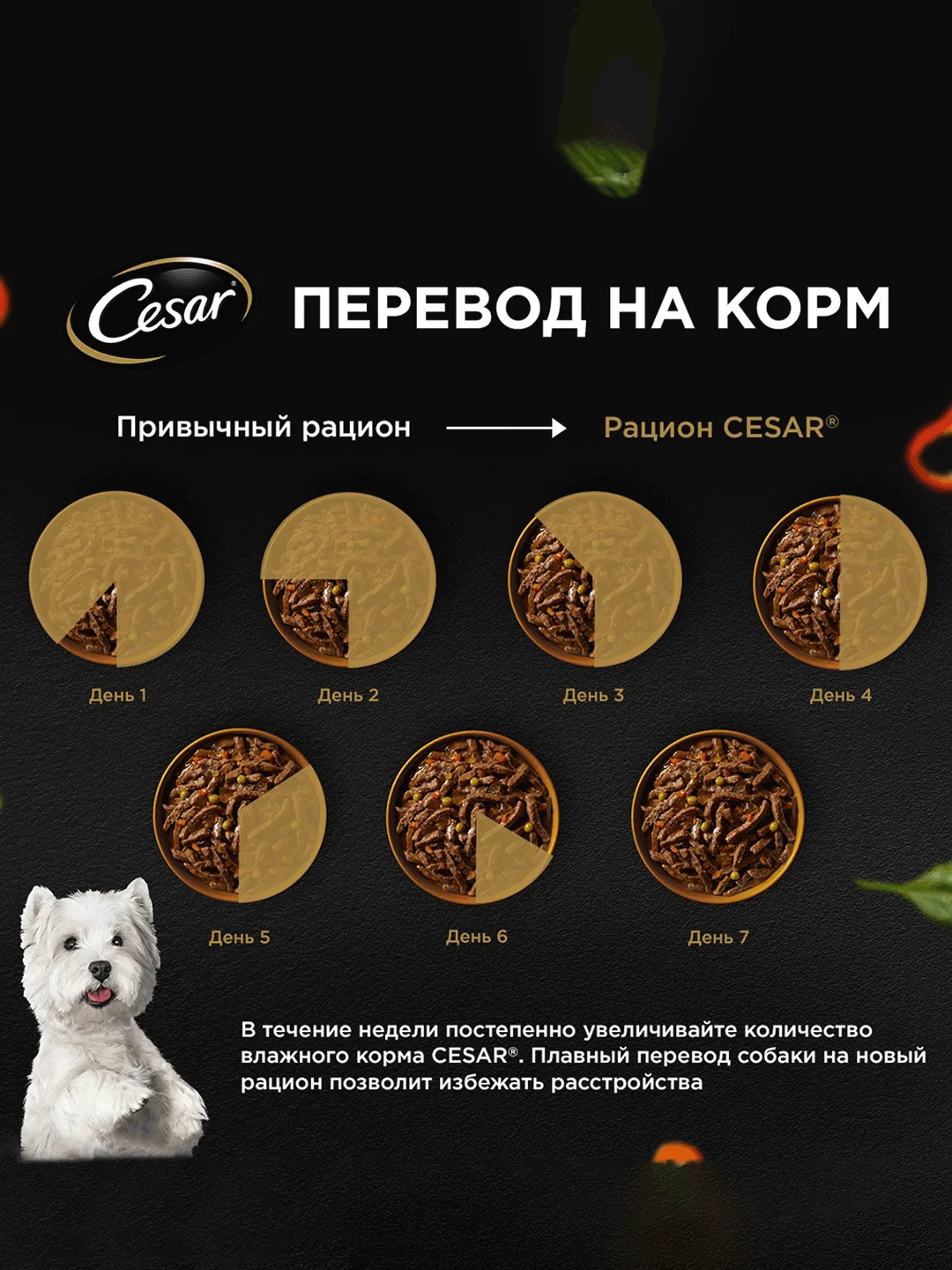 Влажный корм Cesar Natural Goodness для собак, говядина, паприка и шпинат в соусе, 28х80г