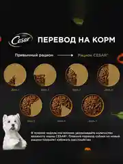 Влажный корм Cesar Natural Goodness для собак, говядина, паприка и шпинат в соусе, 28х80г