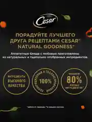 Влажный корм Cesar Natural Goodness для собак, говядина, паприка и шпинат в соусе, 28х80г