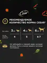 Влажный корм Cesar Natural Goodness для собак, говядина, паприка и шпинат в соусе, 28х80г
