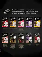 Влажный корм Cesar Natural Goodness для собак, говядина, паприка и шпинат в соусе, 28х80г