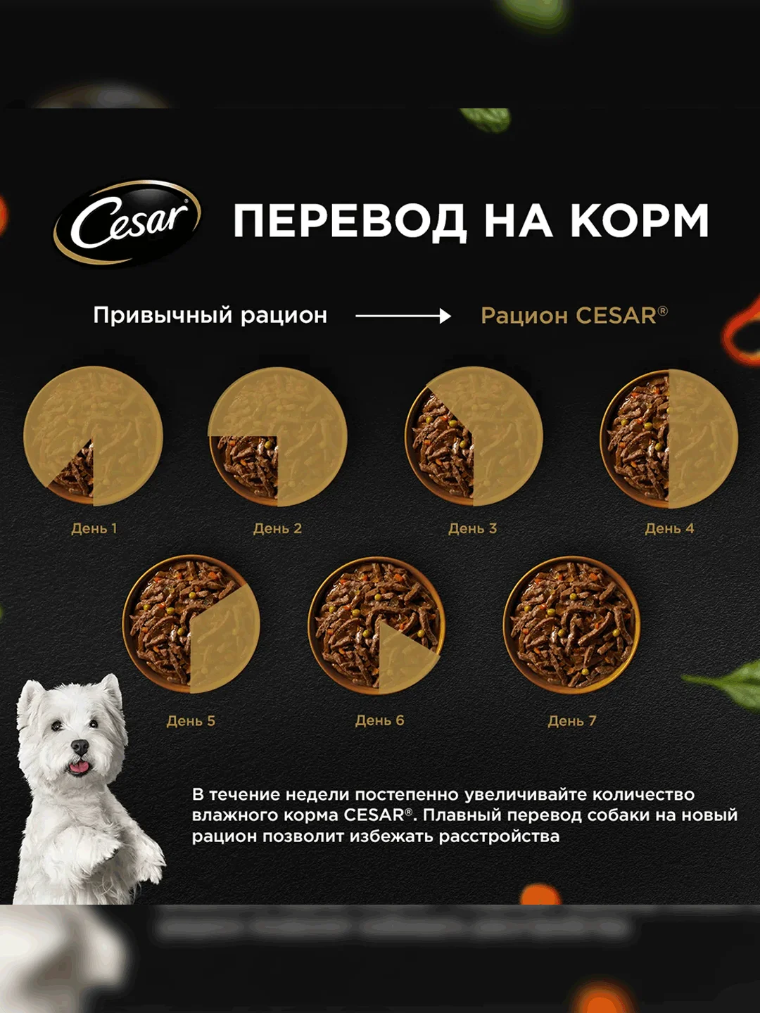 Влажный корм Cesar Natural Goodness для собак, с индейкой, горохом, морковью в желе 28х80г