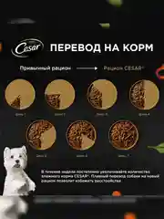 Влажный корм Cesar Natural Goodness для собак, с индейкой, горохом, морковью в желе 28х80г