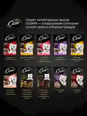 Влажный корм Cesar Natural Goodness для собак, с индейкой, горохом, морковью в желе 28х80г