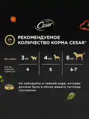 Влажный корм Cesar Natural Goodness для собак, с индейкой, горохом, морковью в желе 28х80г