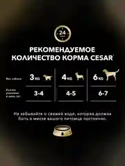 Влажный корм Cesar® для взрослых собак, с тушеной телятиной и овощами в желе, 28 шт по 85г