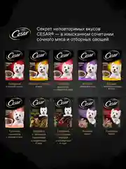 Влажный корм Cesar® для взрослых собак, с тушеной телятиной и овощами в желе, 28 шт по 85г