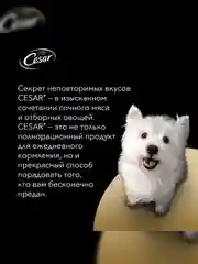 Влажный корм Cesar® для взрослых собак, с тушеной телятиной и овощами в желе, 28 шт по 85г