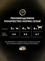 Влажный корм Cesar® для взрослых собак, с говядиной и овощами в соусе, 28 шт по 85г