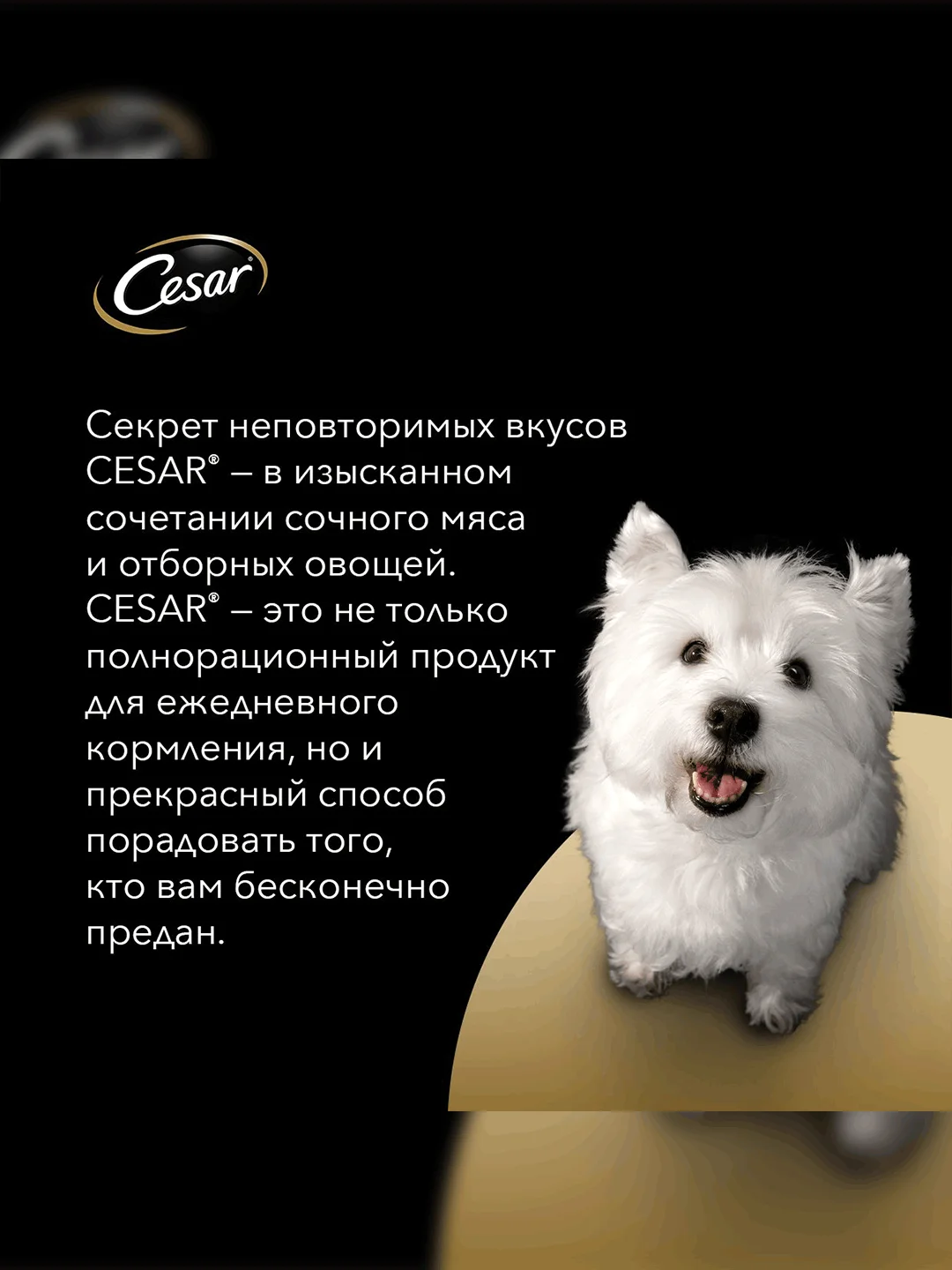 Влажный корм Cesar® для взрослых собак, с курицей и зелеными овощами в соусе, 28 шт по 85г
